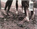 Pearl Jam – Vs. CD - Görsel 2