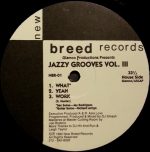 Glamco Productions – Jazzy Grooves Vol. III 12'' Maxi Single Plak (Acid Jazz)