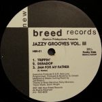 Glamco Productions – Jazzy Grooves Vol. III 12'' Maxi Single Plak (Acid Jazz) - Görsel 2