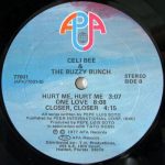 Celi Bee & The Buzzy Bunch – Celi Bee & The Buzzy Bunch - Görsel 4