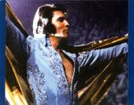 Elvis – An Afternoon In The Garden CD - Görsel 3