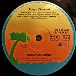 Rough Diamond – Rough Diamond LP Plak - Görsel 3