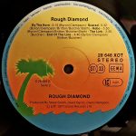 Rough Diamond – Rough Diamond LP Plak - Görsel 4