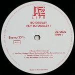 Bo Diddley – Hey Bo Diddley ! LP Plak - Görsel 2