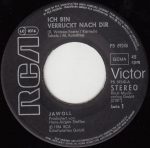 Jawoll – Ich Bin Verrückt Nach Dir 45lik Plak - Görsel 3
