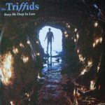 The Triffids – Bury Me Deep In Love 12'' Maxi Single Plak