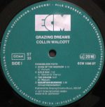 Collin Walcott – Grazing Dreams LP Plak - Görsel 3