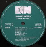 Collin Walcott – Grazing Dreams LP Plak - Görsel 4
