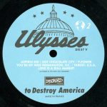 Nation Of Ulysses – 13-Point Program To Destroy America LP Plak - Görsel 4