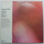 The Brilliant Corners – Everything I Ever Wanted LP Plak - Görsel 2