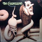 The Chameleons – Tears 12'' Maxi Single Plak