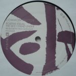 Common Factor – Expanded EP 12'' Maxi Single Plak (House)