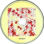 Foals – Antidotes CD - Görsel 3