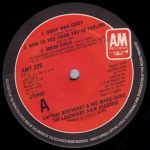 Captain Beefheart And His Magic Band – The Legendary A&M Sessions EP Plak - Görsel 3