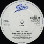 Dead Or Alive – Turn Around And Count 2 Ten (The Pearl And Dean "I Love"-BPM Mix) 12'' Maxi Single Plak - Görsel 3