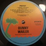 Bunny Wailer – Protest LP Plak - Görsel 3