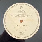 Cocteau Twins – Victorialand LP Plak - Görsel 4