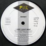 Mandy – I Just Can't Wait ('The Cool And Breezy Jazz Version') 12'' Maxi Single Plak (Early House) - Görsel 3