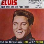 Elvis – She's Not You 45lik Plak