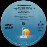 Bunny Wailer – Blackheart Man LP Plak - Görsel 3