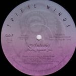Antonio – Happy, Joyous & Free 12'' Maxi Single Plak (Deep House)
