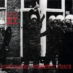 The Ex – Disturbing Domestic Peace LP + 7'' Plak