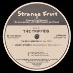 The Triffids – The Peel Sessions 12'' Maxi Single Plak - Görsel 4