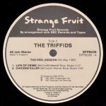 The Triffids – The Peel Sessions 12'' Maxi Single Plak - Görsel 3