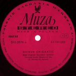 Niemen – Niemen Enigmatic LP Plak (Polish Prog Rock) - Görsel 3