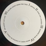 Domenique Dumont – People On Sunday LP Plak - Görsel 3