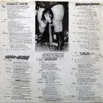 Drahdiwaberl – Jeannys Rache LP Plak - Görsel 6