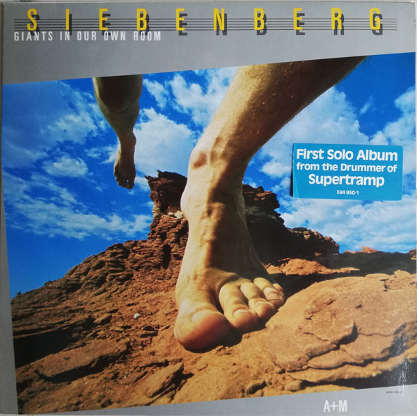 Siebenberg – Giants In Our Own Room LP Plak