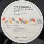 Siebenberg – Giants In Our Own Room LP Plak - Görsel 4