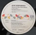 Siebenberg – Giants In Our Own Room LP Plak - Görsel 3
