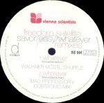 Freedom Satellite – Easy / Whatever / Savor (Remixes) 2x12'' Maxi Single Plak (Acid Jazz) - Görsel 2
