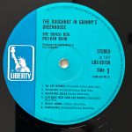 Bonzo Dog Band – The Doughnut In Granny's Greenhouse LP Plak - Görsel 5