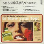 Bob Sinclar – Paradise 2LP Plak (House) - Görsel 2