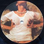 Bob Sinclar – Paradise 2LP Plak (House) - Görsel 4