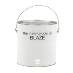 Blaze – The Many Colours Of Blaze CD (House)