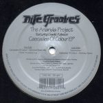 The Ananda Project Featuring Gaelle Adisson – Cascades Of Colour EP 12'' Maxi Single Plak (House)