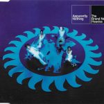 The Brand New Heavies – Apparently Nothing CD Single (Acid Jazz)