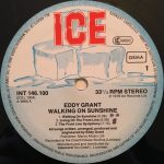 Eddy Grant – Walking On Sunshine LP Plak - Görsel 3