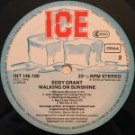 Eddy Grant – Walking On Sunshine LP Plak - Görsel 4