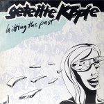 Geteilte Köpfe – Hitting The Past LP Plak
