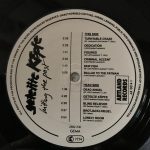 Geteilte Köpfe – Hitting The Past LP Plak - Görsel 3