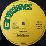 Capital Letters – Smoking My Ganja 12'' Maxi Single Plak - Görsel 4