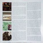 Isabelle Antena – En Cavale 2LP Plak - Görsel 4