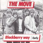 The Move – Blackberry Way / Curly 45lik Plak