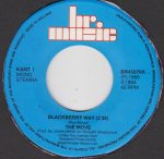The Move – Blackberry Way / Curly 45lik Plak - Görsel 2