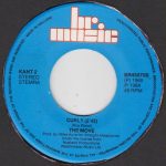 The Move – Blackberry Way / Curly 45lik Plak - Görsel 3